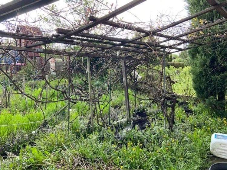 Działka na sprzedaż Szczecin, Dąbie 400 m2 | Arka Nieruchomości