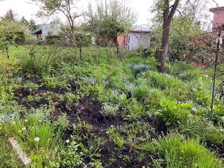 Działka na sprzedaż Szczecin, Dąbie 400 m2 | Arka Nieruchomości
