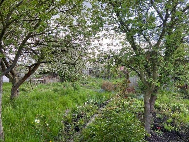 Działka na sprzedaż Szczecin, Dąbie 400 m2 | Arka Nieruchomości