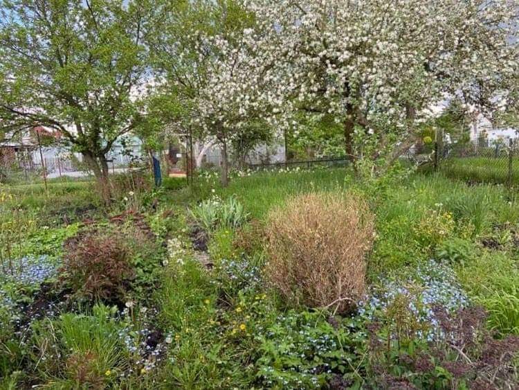 Działka na sprzedaż Szczecin, Dąbie 400 m2 | Arka Nieruchomości