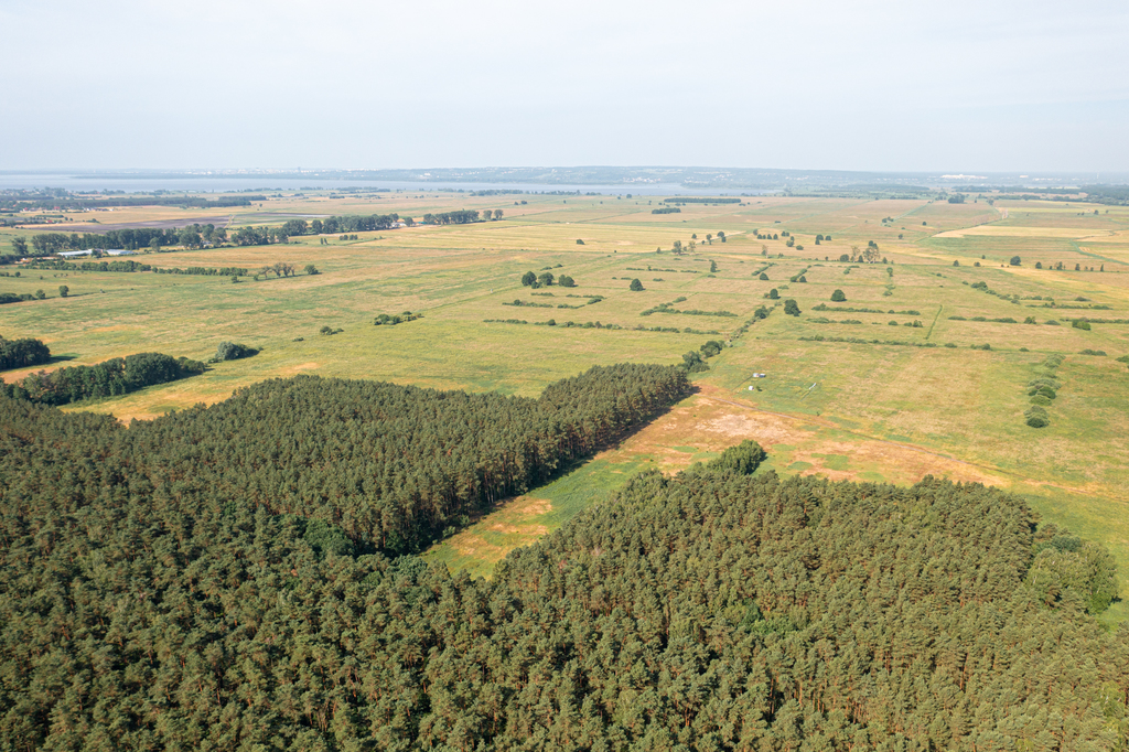 Działka na sprzedaż Komarowo 3 167 m2 | Arka Nieruchomości
