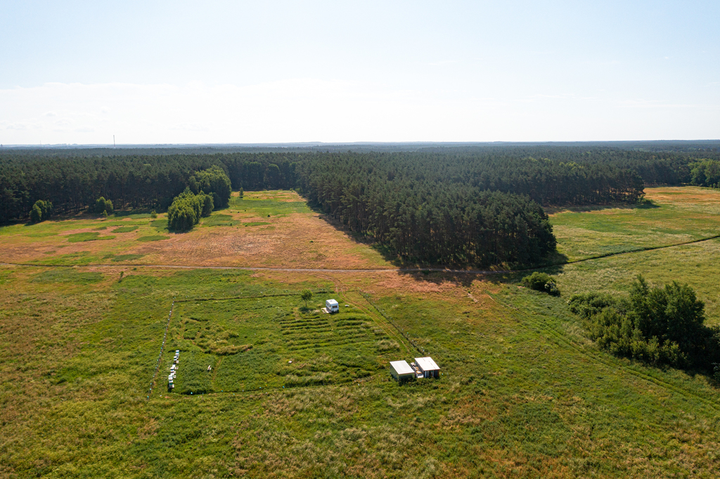 Działka na sprzedaż Komarowo 3 167 m2 | Arka Nieruchomości