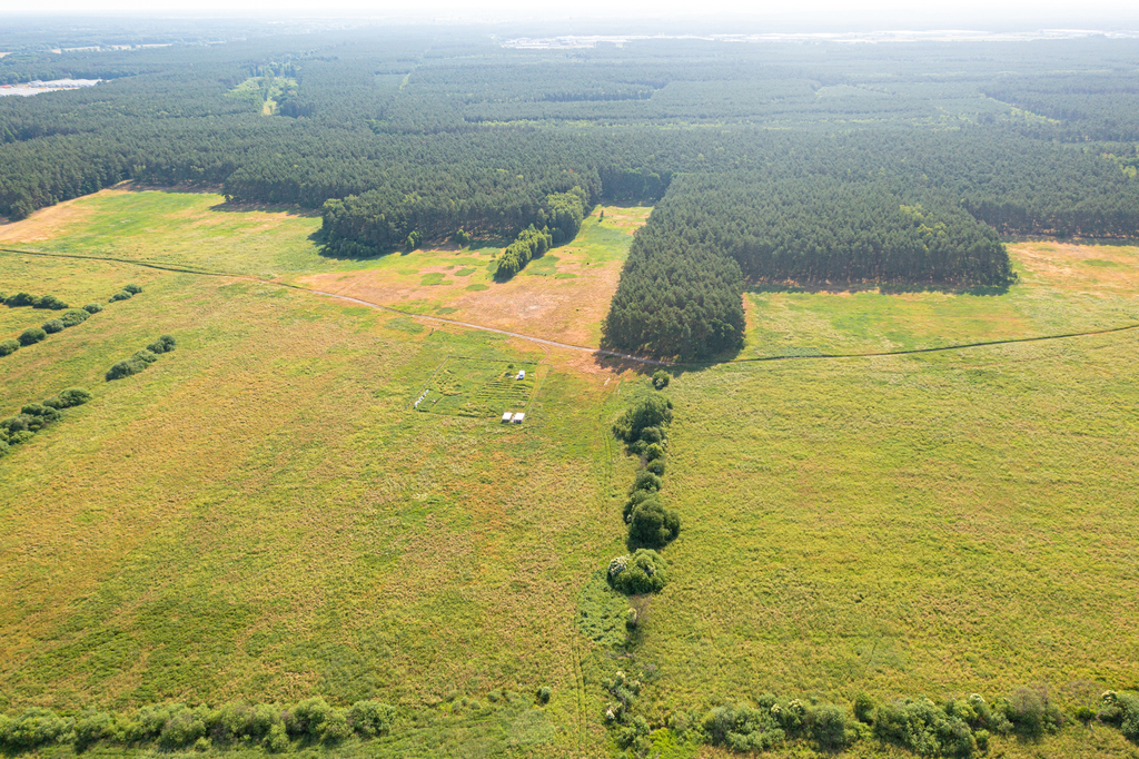 Działka na sprzedaż Komarowo 3 167 m2 | Arka Nieruchomości