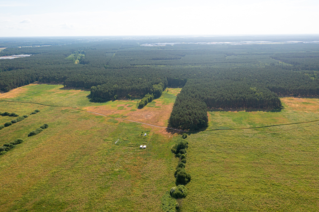 Działka na sprzedaż Komarowo 3 167 m2 | Arka Nieruchomości