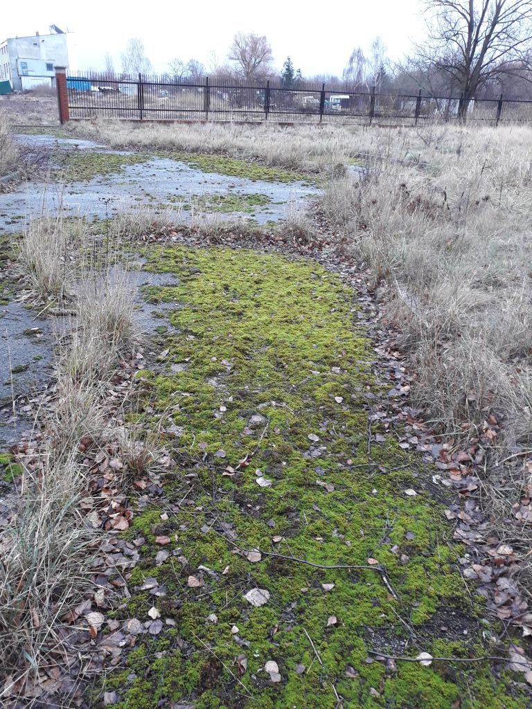 Działka na sprzedaż Szczecin, Pomorzany 5 309 m2 | Arka Nieruchomości