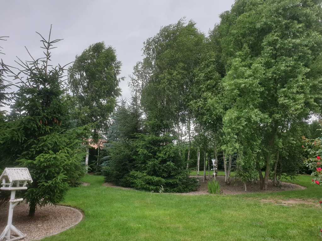 Dom na sprzedaż Dobra 184 m2 | Arka Nieruchomości