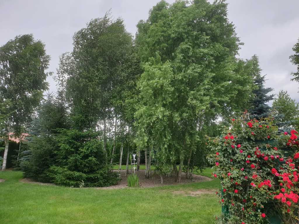 Dom na sprzedaż Dobra 184 m2 | Arka Nieruchomości