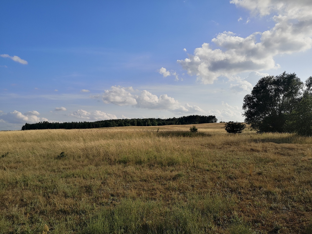 Działka na sprzedaż Wąwelnica 37 300 m2 | Arka Nieruchomości