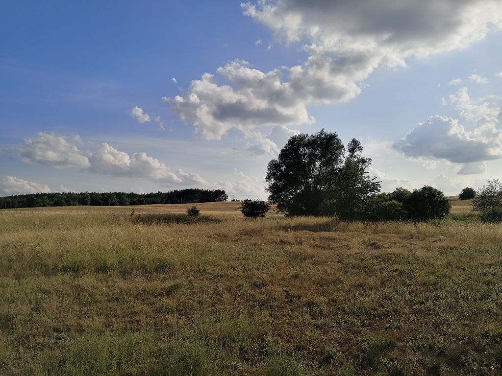Działka na sprzedaż Wąwelnica 37 300 m2 | Arka Nieruchomości