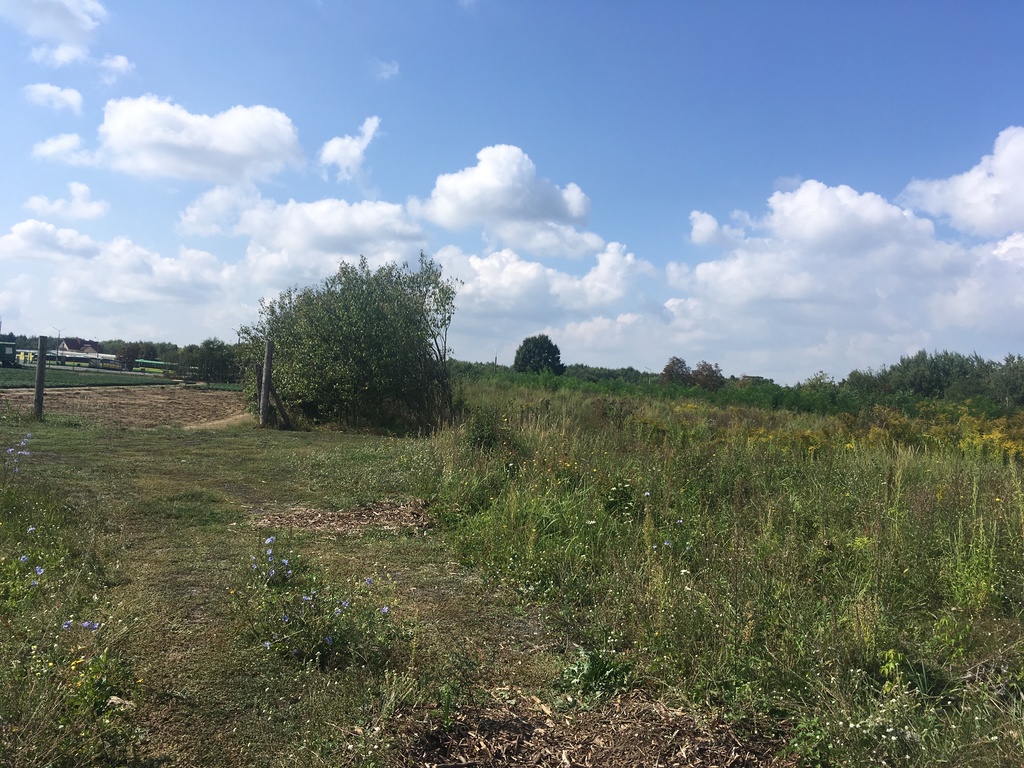 Działka na sprzedaż Police 2 601 m2 | Arka Nieruchomości
