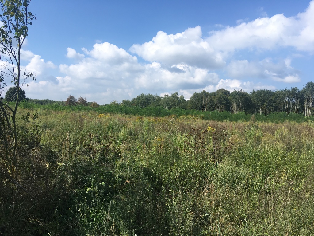 Działka na sprzedaż Police 14 358 m2 | Arka Nieruchomości