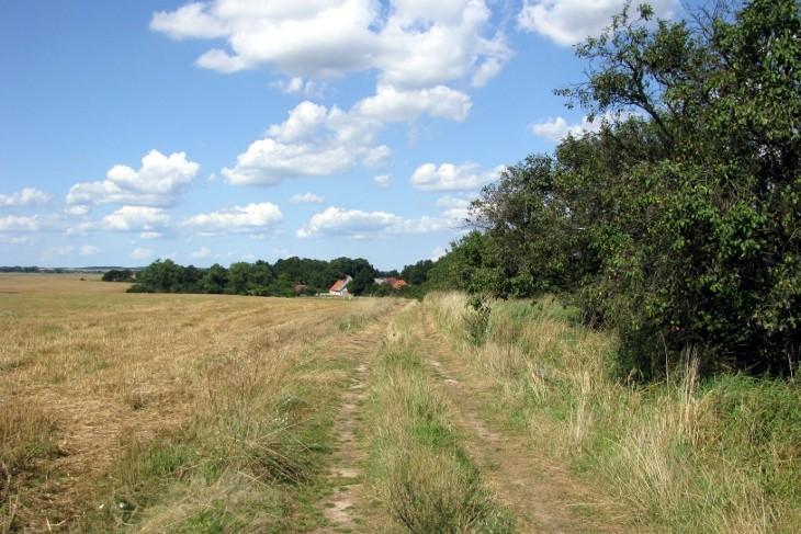 Działka na sprzedaż Barnisław 12 400 m2 | Arka Nieruchomości
