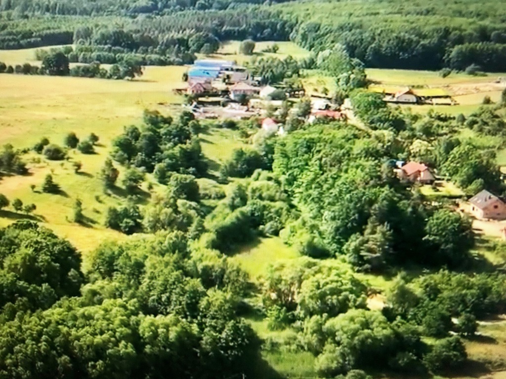 Działka na sprzedaż Barnisław 12 400 m2 | Arka Nieruchomości