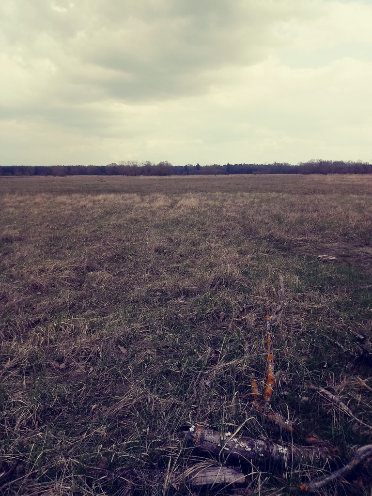 Działka na sprzedaż Łęgi 3 219 m2 | Arka Nieruchomości