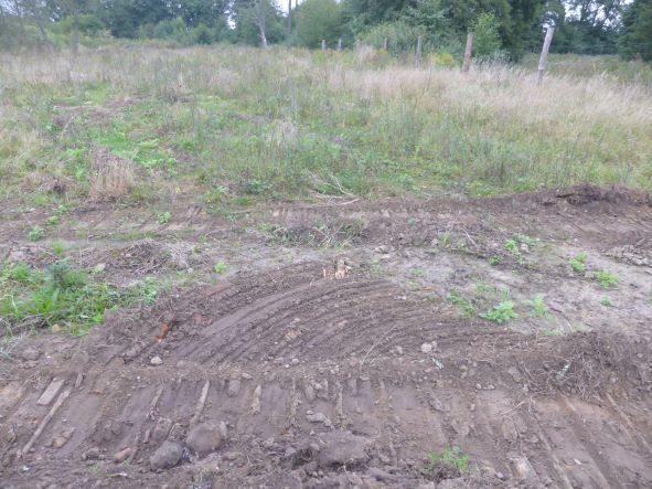 Działka na sprzedaż Kobylanka 14 300 m2 | Arka Nieruchomości