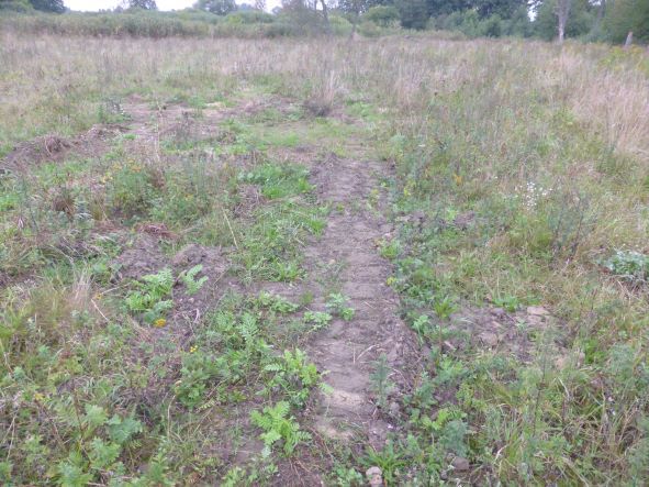 Działka na sprzedaż Kobylanka 14 300 m2 | Arka Nieruchomości