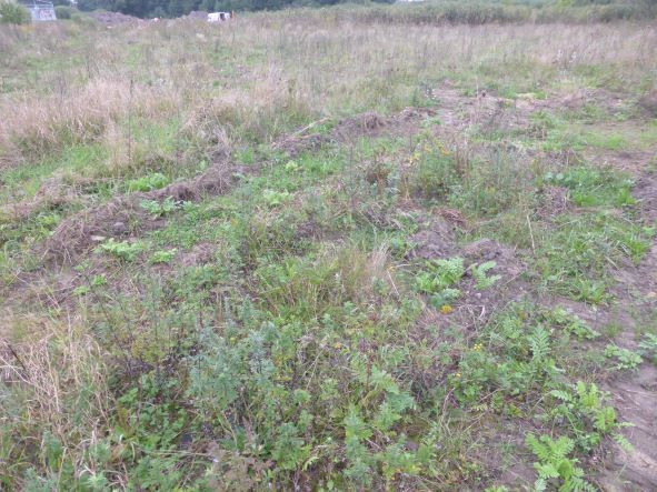 Działka na sprzedaż Kobylanka 14 300 m2 | Arka Nieruchomości