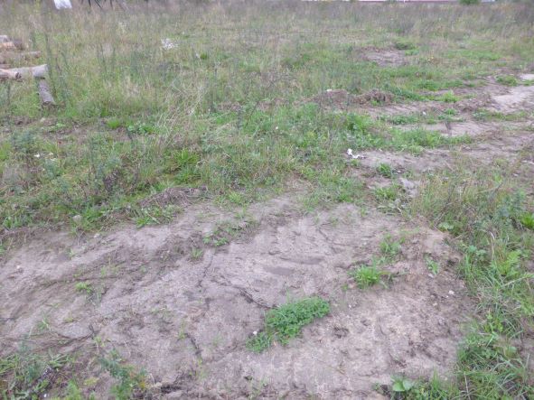 Działka na wynajem Kobylanka 14 300 m2 | Arka Nieruchomości