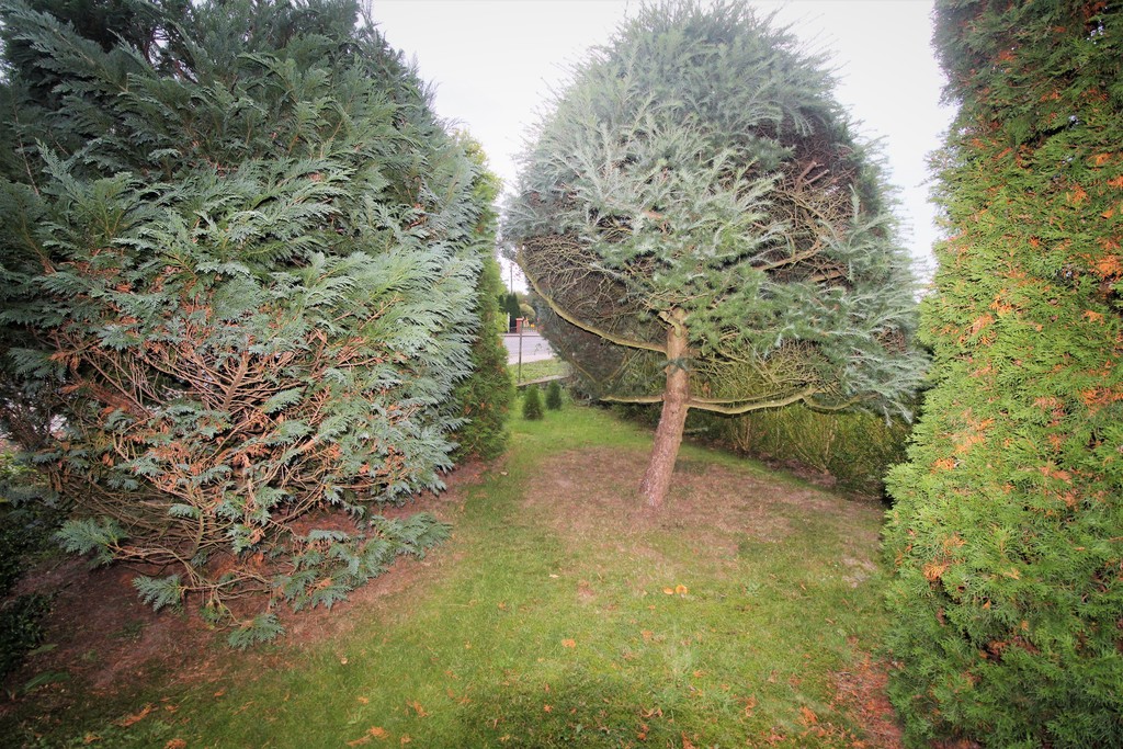 Dom na sprzedaż Pęczerzyno 120 m2 | Arka Nieruchomości