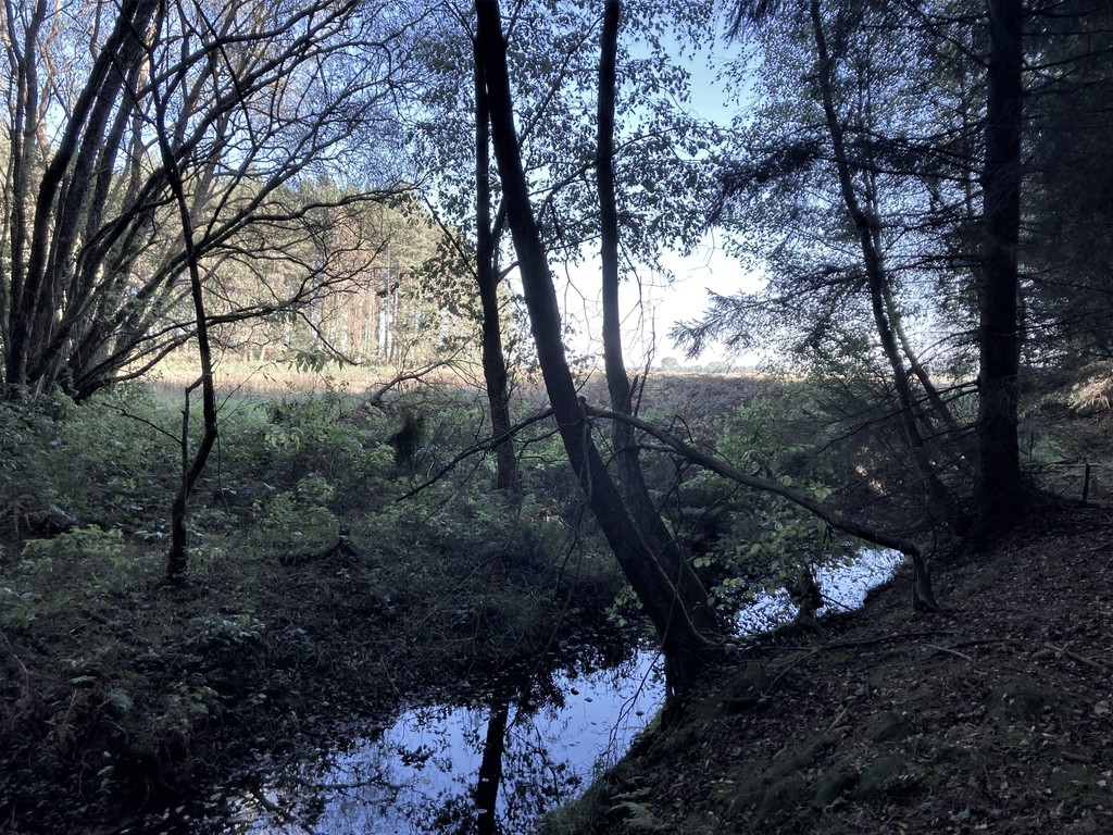 Działka na sprzedaż Krzepocin 19 743 m2 | Arka Nieruchomości