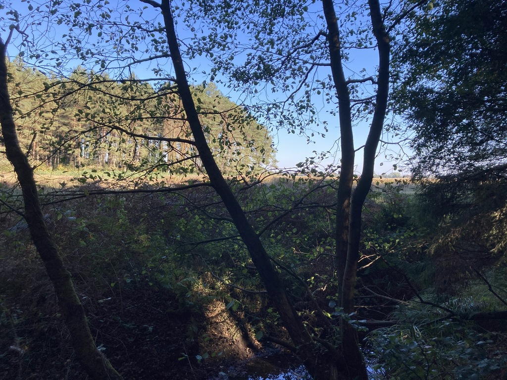 Działka na sprzedaż Krzepocin 19 743 m2 | Arka Nieruchomości