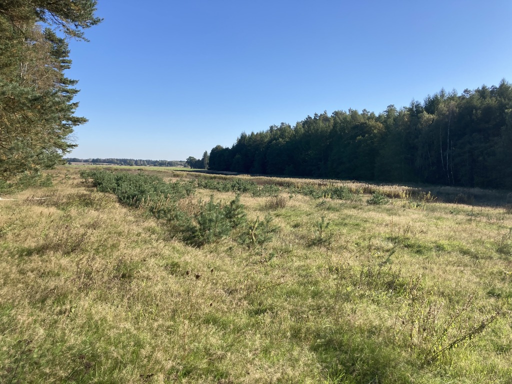 Działka na sprzedaż Krzepocin 19 743 m2 | Arka Nieruchomości