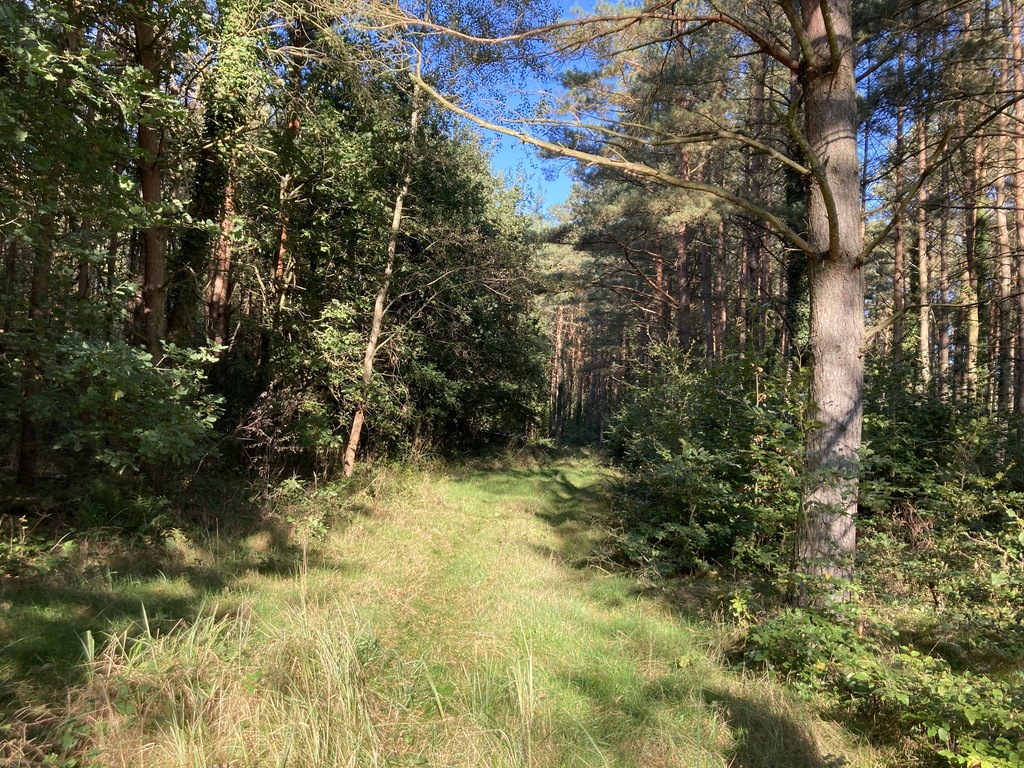 Działka na sprzedaż Krzepocin 19 743 m2 | Arka Nieruchomości