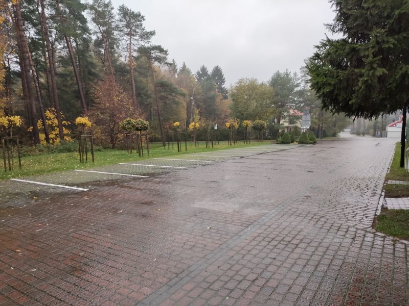 Obiekt na sprzedaż Pustkowo 420 m2 | Arka Nieruchomości