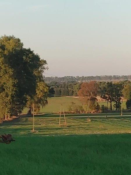 Dom na sprzedaż Węgorzyno 240 m2 | Arka Nieruchomości