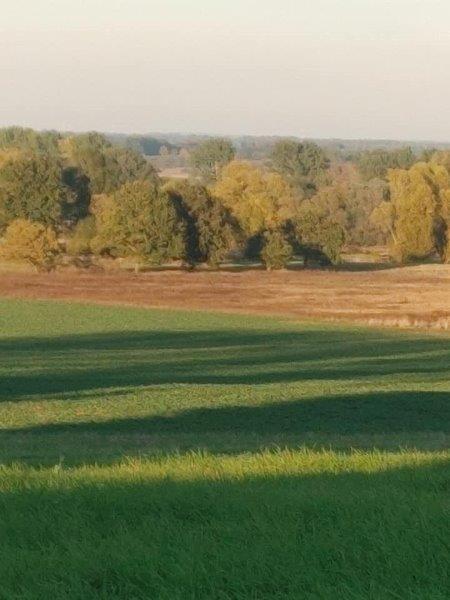 Dom na sprzedaż Węgorzyno 240 m2 | Arka Nieruchomości