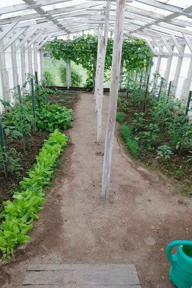 Dom na sprzedaż Węgorzyno 240 m2 | Arka Nieruchomości
