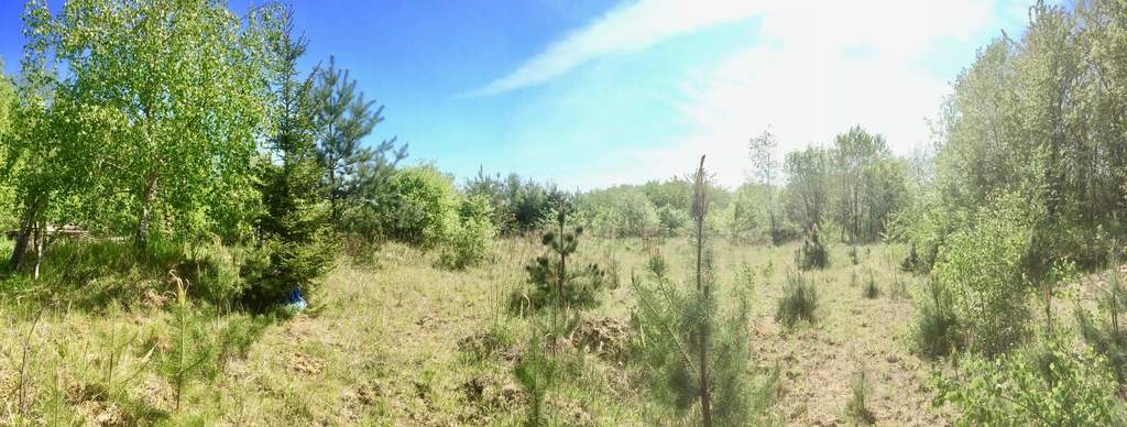 Działka na sprzedaż Stare Czarnowo 3 400 m2 | Arka Nieruchomości