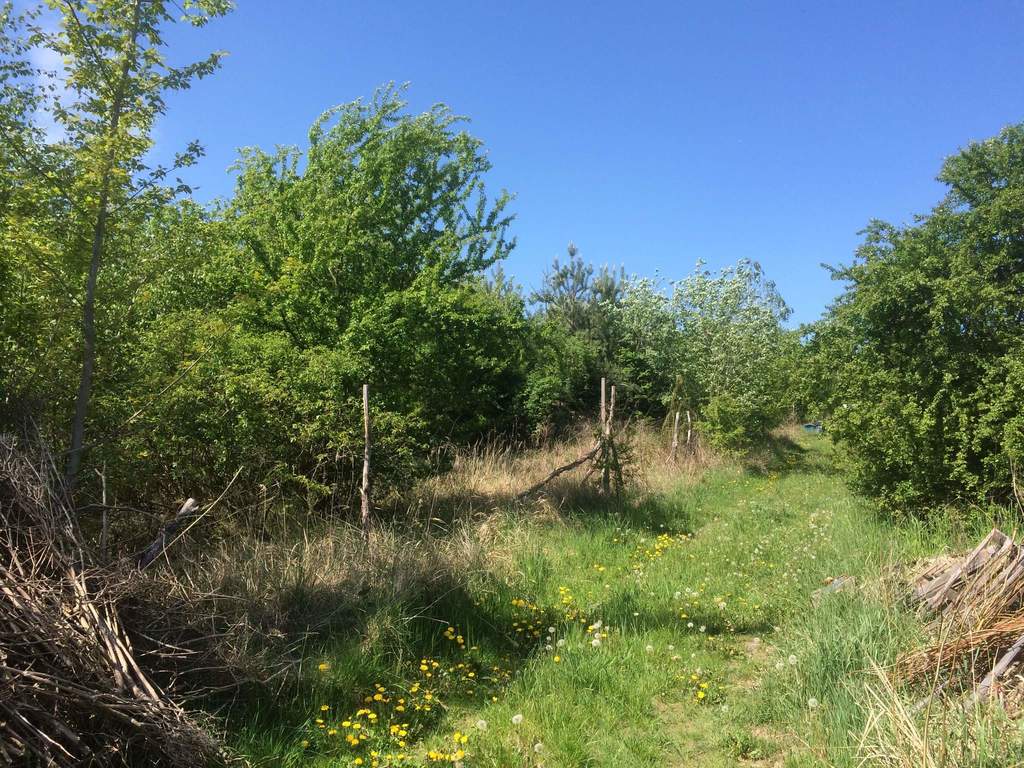 Działka na sprzedaż Stare Czarnowo 3 400 m2 | Arka Nieruchomości