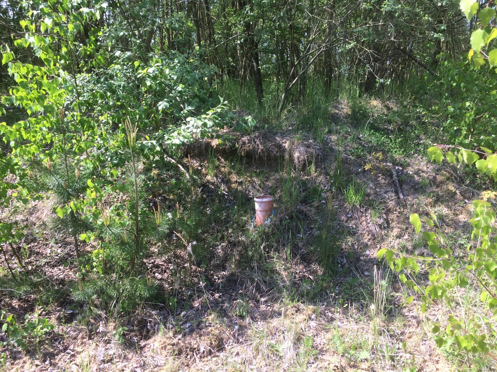 Działka na sprzedaż Stare Czarnowo 3 400 m2 | Arka Nieruchomości