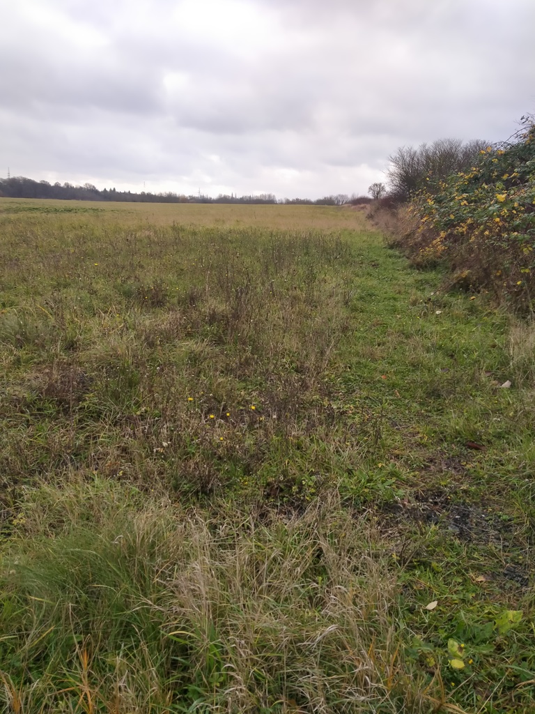 Działka na sprzedaż Szczecin, Skolwin 3 074 m2 | Arka Nieruchomości