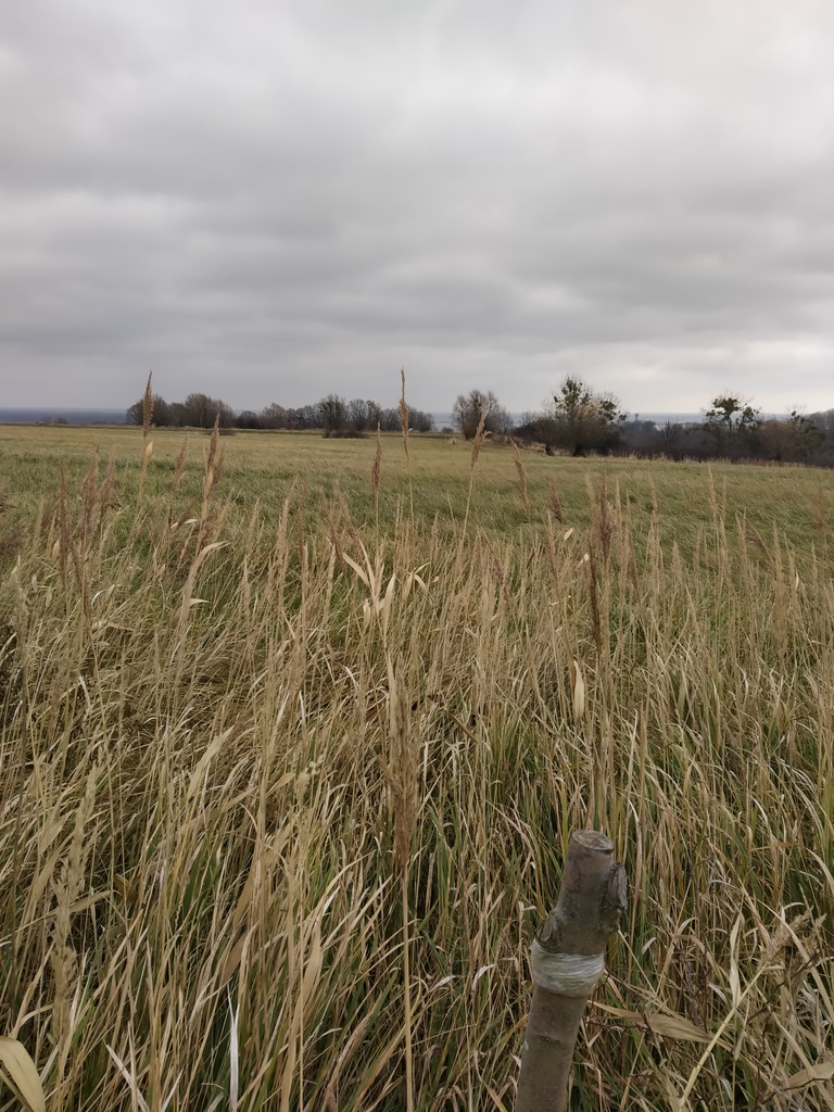 Działka na sprzedaż Szczecin, Skolwin 3 074 m2 | Arka Nieruchomości