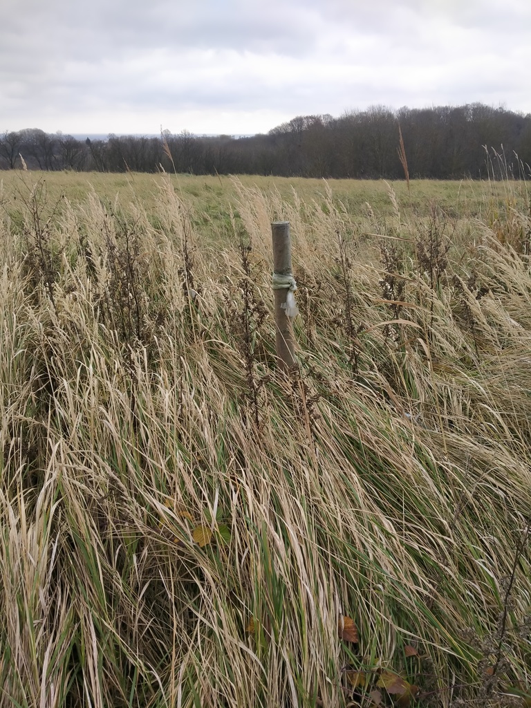 Działka na sprzedaż Szczecin, Skolwin 3 074 m2 | Arka Nieruchomości