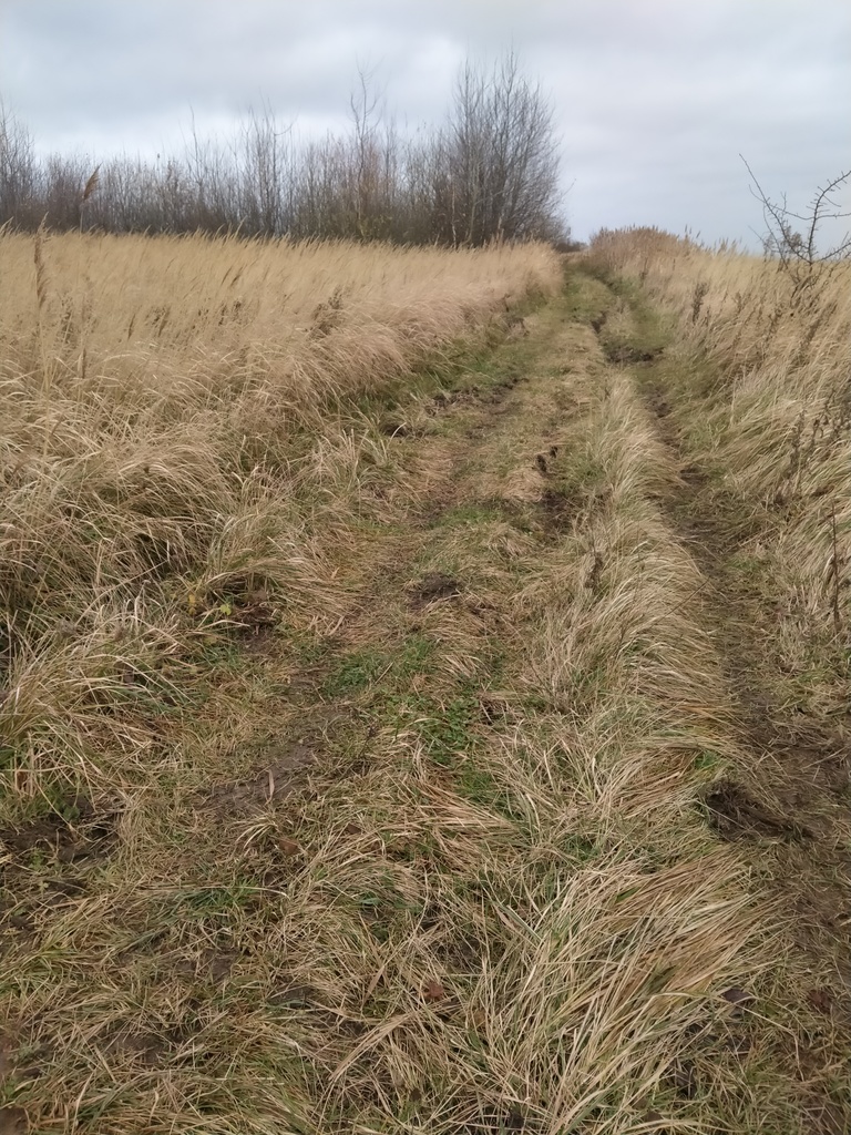 Działka na sprzedaż Szczecin, Skolwin 3 074 m2 | Arka Nieruchomości