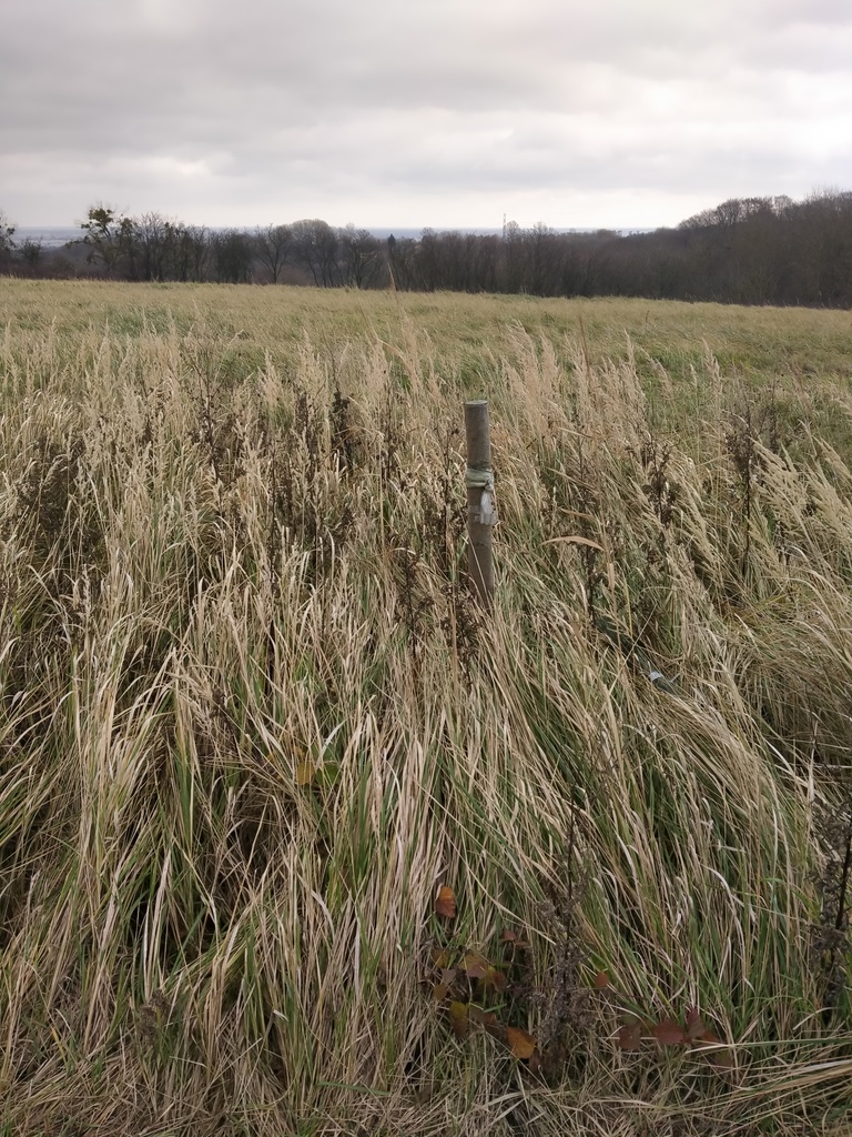 Działka na sprzedaż Szczecin, Skolwin 3 074 m2 | Arka Nieruchomości