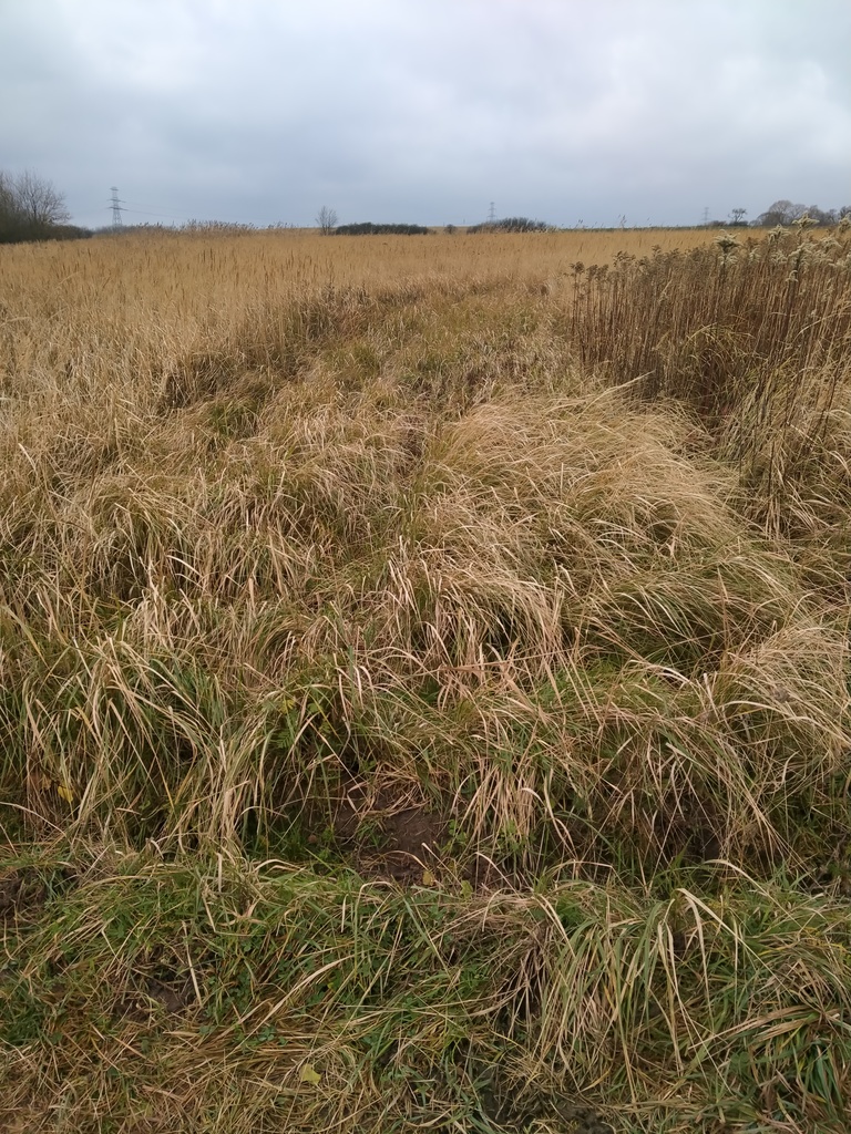 Działka na sprzedaż Szczecin, Skolwin 3 074 m2 | Arka Nieruchomości