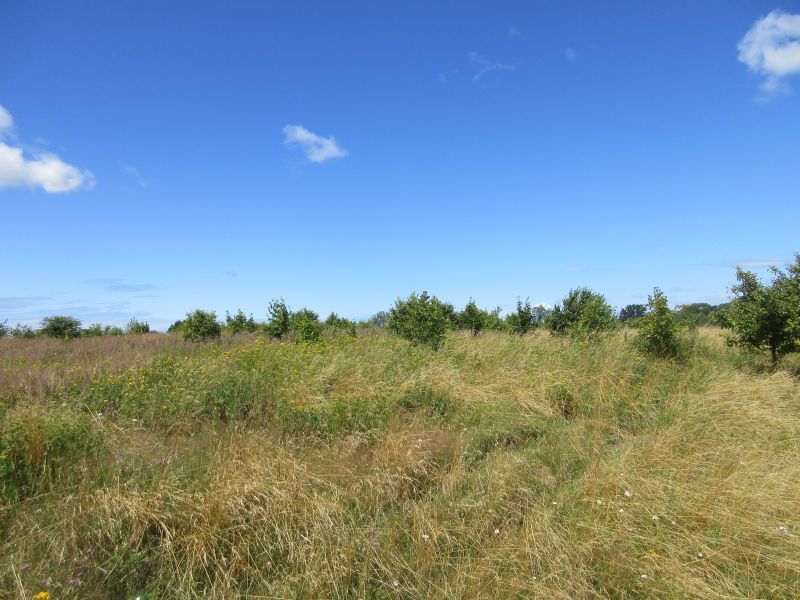 Działka na sprzedaż Lędzin 1 309 m2 | Arka Nieruchomości