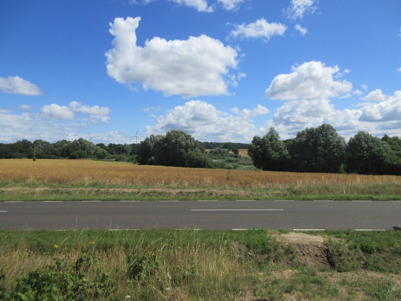 Działka na sprzedaż Lędzin 1 309 m2 | Arka Nieruchomości