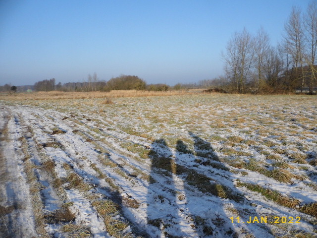 Działka na sprzedaż Brzózki 1 173 m2 | Arka Nieruchomości