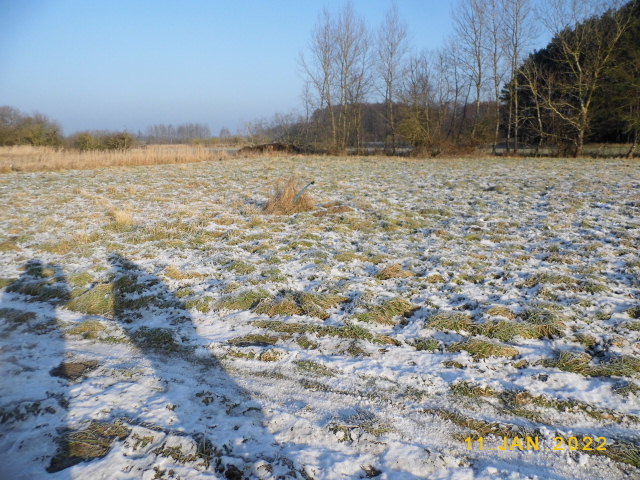 Działka na sprzedaż Brzózki 1 173 m2 | Arka Nieruchomości