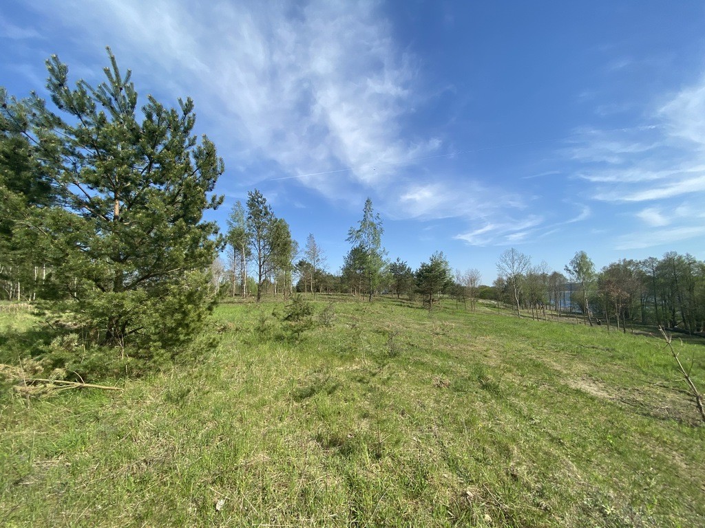 Działka na sprzedaż Lubieszewo 726 m2 | Arka Nieruchomości