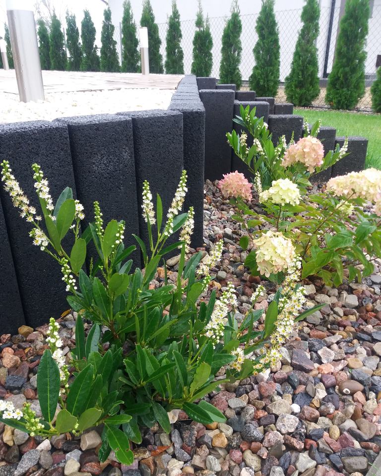 Dom na sprzedaż Stargard 200 m2 | Arka Nieruchomości