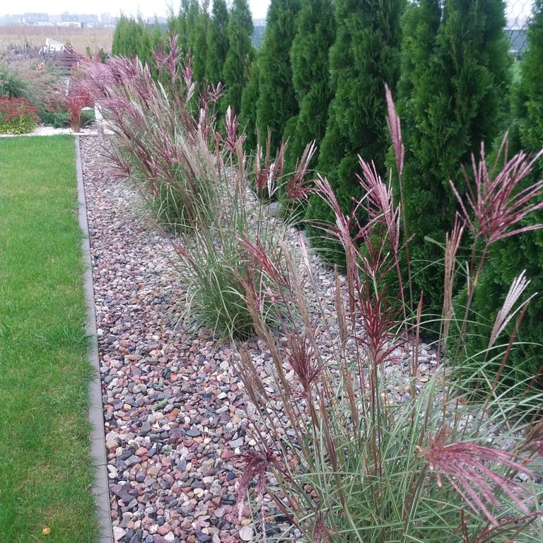 Dom na sprzedaż Stargard 200 m2 | Arka Nieruchomości