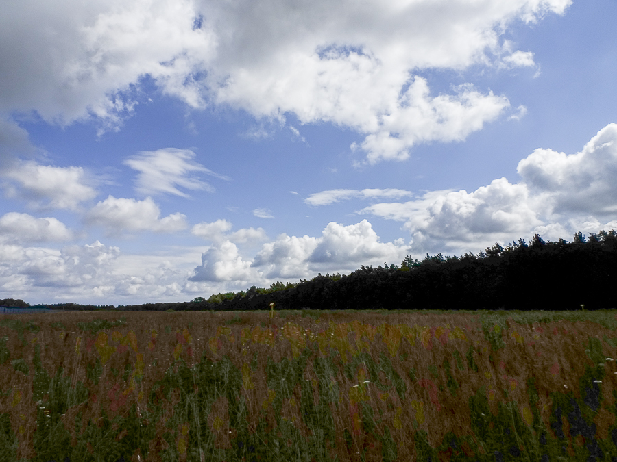 Działka na sprzedaż Nowogard 19 226 m2 | Arka Nieruchomości