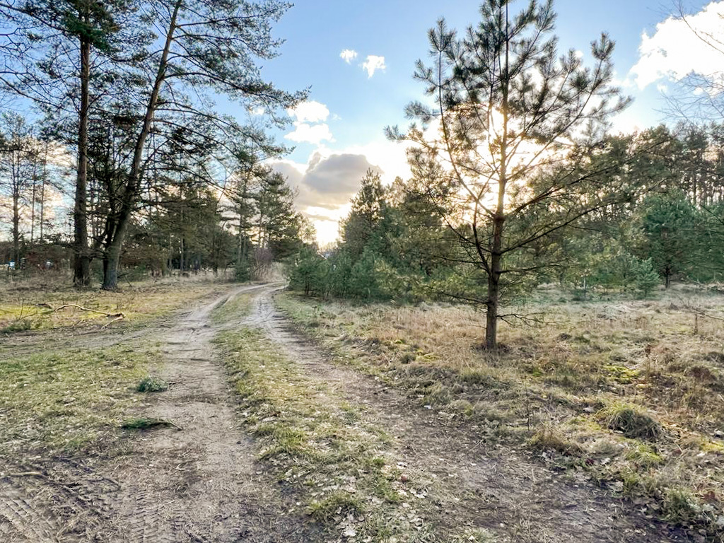 Działka na sprzedaż Babigoszcz 1 000 m2 | Arka Nieruchomości