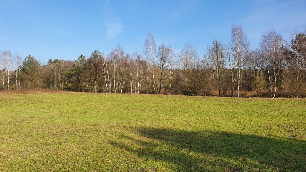 Działka na sprzedaż Białuń 1 137 m2 | Arka Nieruchomości